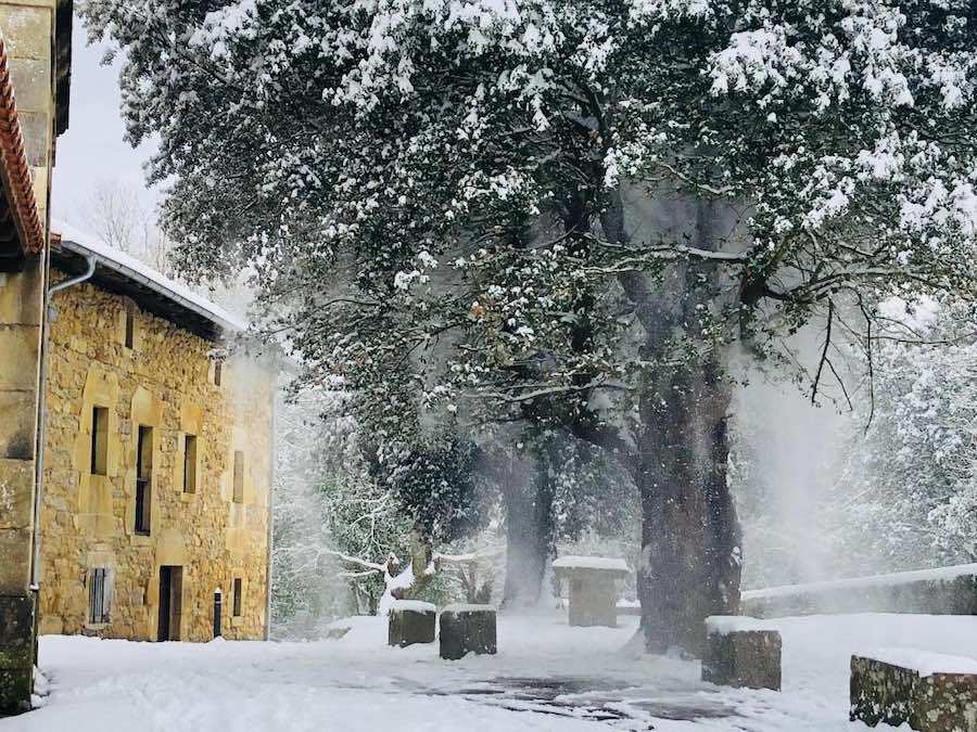 Winter