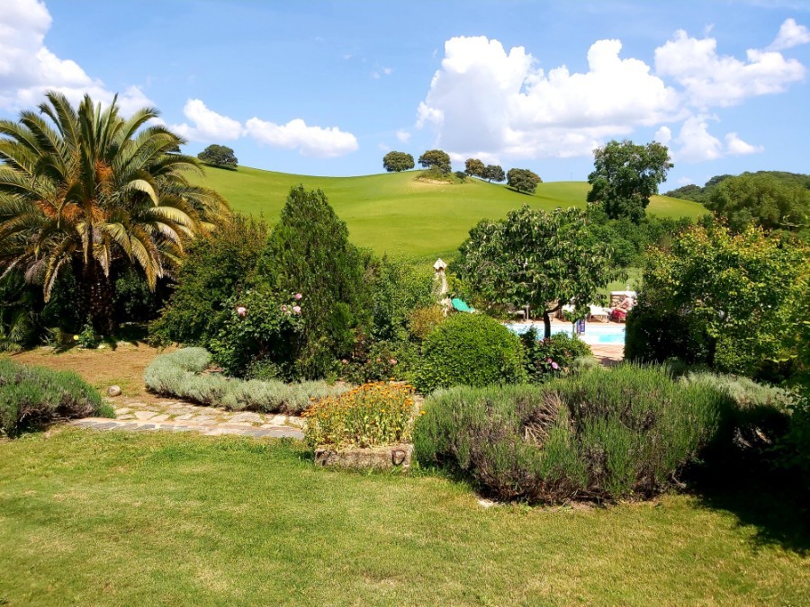 Corrtijo-wandelen-andalusie-grazalema-puerto-serrano-andalusie-malaga-cadiz-rondreis-op-maat