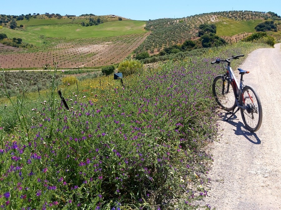 Fietsen langs de Via Verde de la Sierra