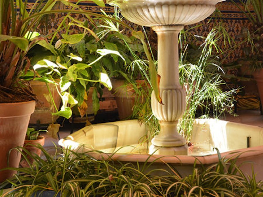 Details patio