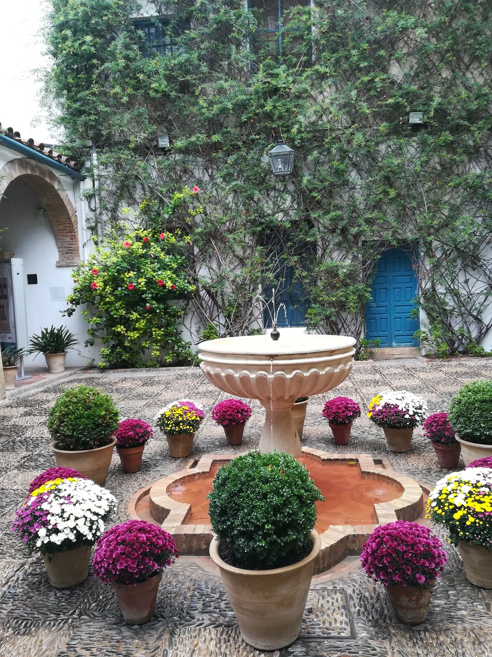 Patio in Córdoba