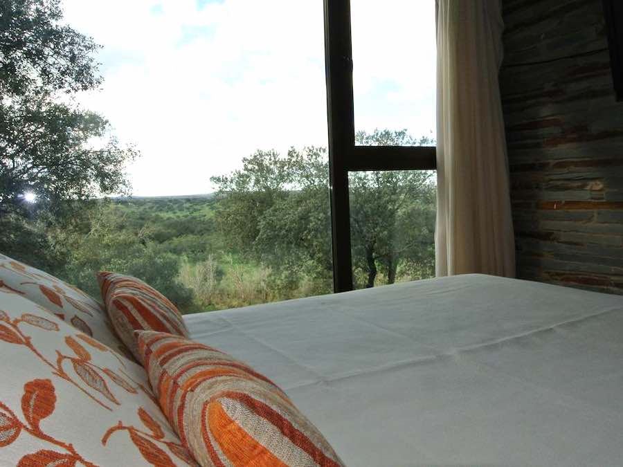 Room with a View