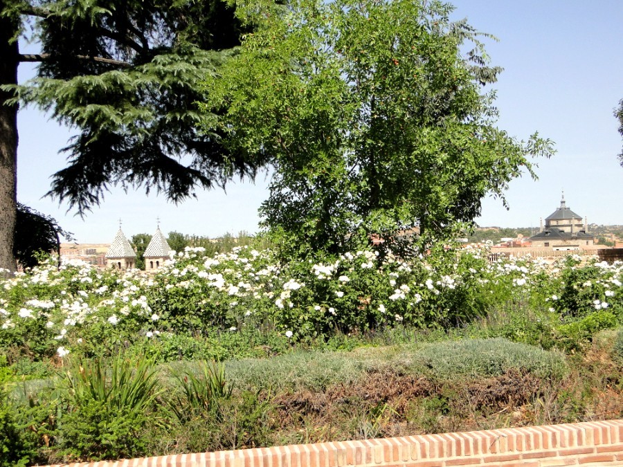 Tuin van de Moskee in Toledo