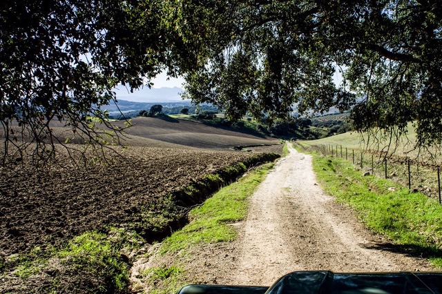 Jeep Excursie bij Ronda