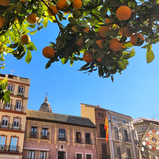 Plaza de la Constitución