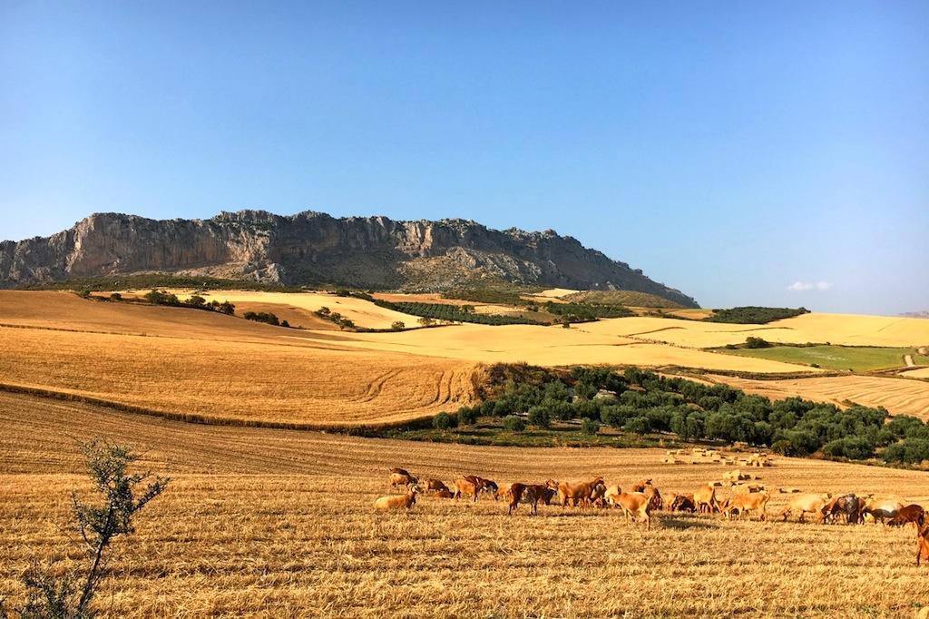 Het Torcal plateau rijst op uit de vlakte