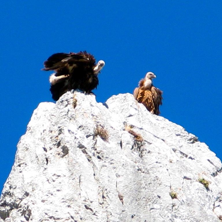 Zahara de la Sierra