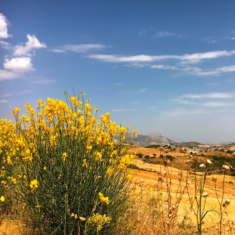Zomer in Andalusië