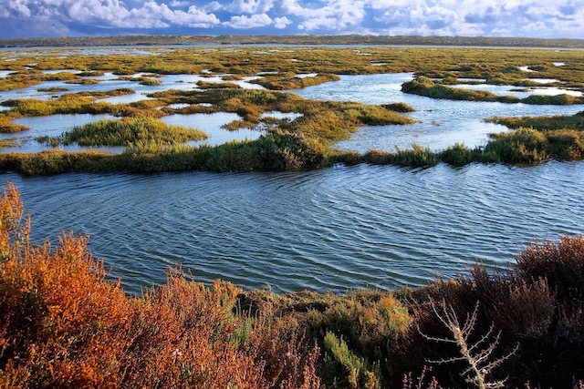 Ria Formosa moerasland