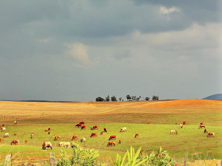 Weids Alentejo