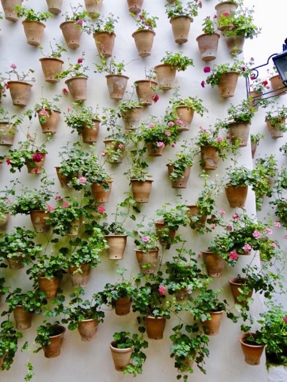 Patio in Córdoba