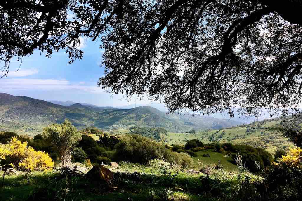 Alcornocales Natuurpark