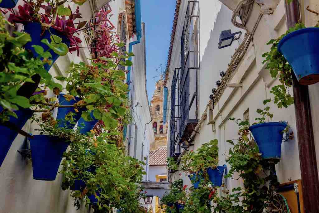 Calle de Flores Córdoba