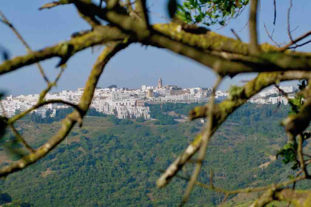 Zicht op Vejer de la Frontera