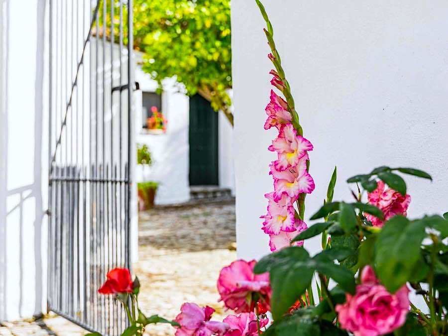 Hotelboerderij bij Ronda