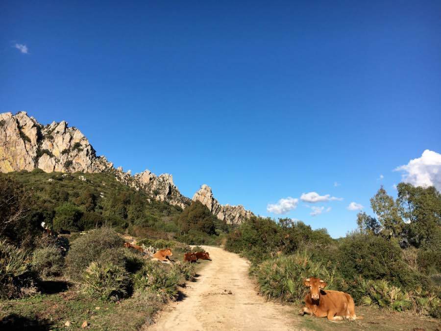 4. Wandeling dag 4
