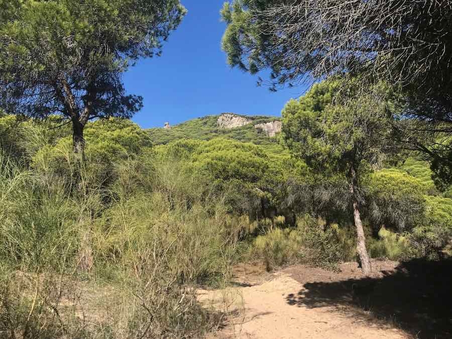 9. wandeldag 4