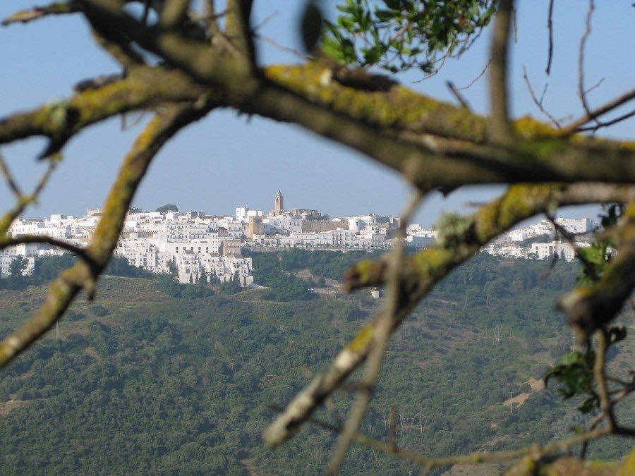 2. Omgeving Vejer