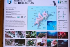 De Berlengas eilanden voor de kust bij Peniche
