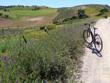 Fietsen langs de Via Verde de la Sierra