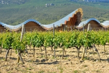 Bodega Ysios van de architect Calatrava, op 10 minuten