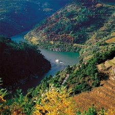 Douro Cruise