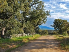 omgeving