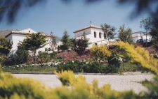 Entree, Restaurant