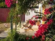 Terras