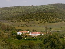 Finca San Clement bij Trujillo