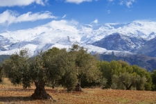 Sierra Nevada