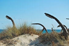 Praia do Barril