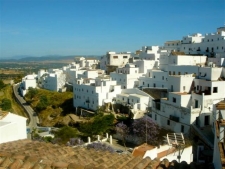 Vejer