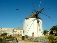 Vejer
