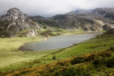 Picos