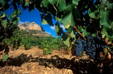 De Priorat wijnregio, pareltje ten zuiden van Barcelona