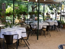 Terras