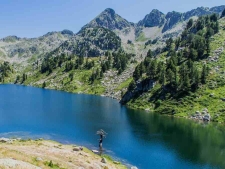 Pyreneeën