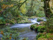 Natuur