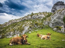 1. Picos de Europa