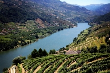 Douro