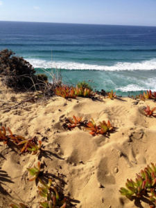 Aan de Rota Vicentina