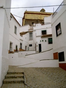 Medina