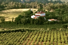 Verblijf op landgoed bij Óbidos