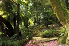 Sintra