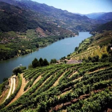 De Douro
