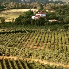 Landgoed bij Obidos