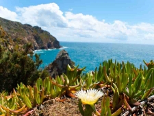 Cabo da Roca bij Lissabon