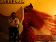 Flamenco