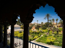 Tuin van het Alcázar in Sevilla